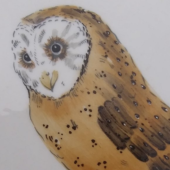Vintage 1975 Goebel West Germany Hand Painted Barn Owl Ceramic Plaque F Kirchner - Picture 4 of 14